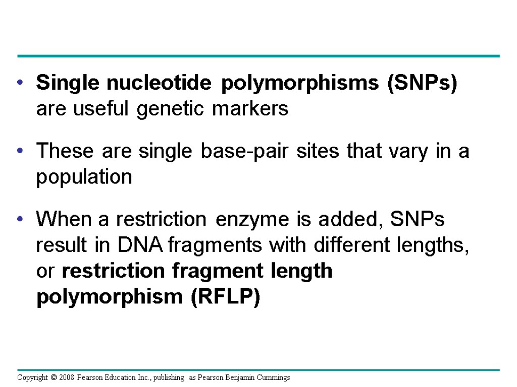 Single nucleotide polymorphisms (SNPs) are useful genetic markers These are single base-pair sites that